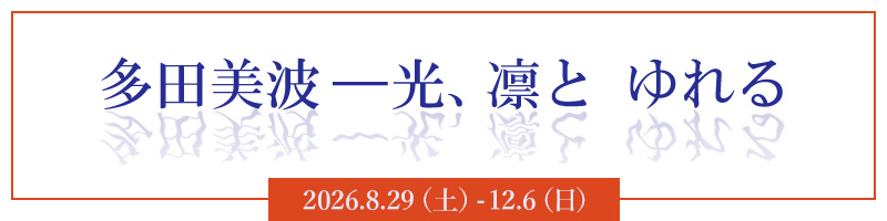 多田美波―光、凛と ゆれる
