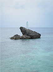 �X �����q�s�v���C�}���E���Y���F�T���s���[�t2011�N�@Courtesy�FFaou���c�i�j���[���[�N�j�W�����i�F�{�Ó������p�i����j�B�e�F���`���[�h�E���[���C�h