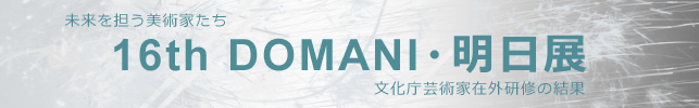未来を担う美術家たち 16th DOMANI・明日展 文化庁芸術家在外研修の成果