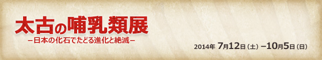 太古の哺乳類展−日本の化石でたどる進化と絶滅−