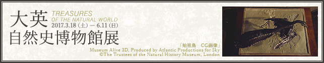 pRjٓW^unc@CG摜vMuseum Alive 3D, Produced by Atlantic Productions for Sky ©The Trustees of the Natural History Museum, London