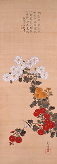 酒井抱一《菊小禽図》19世紀(江戸時代)　絹本・彩色　山種美術館