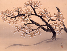 横山大観《山桜》1934(昭和9)年　絹本・彩色　山種美術館