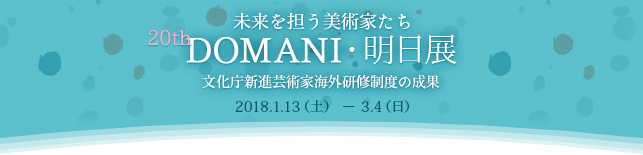 未来を担う美術家たち 20th DOMANI・明日展 文化庁新進芸術家海外研修制度の成果