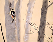 奥村土牛《啄木鳥》1947(昭和22)年 絹本・彩色 山種美術館