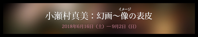 小瀬村真美:幻画〜像(イメージ)の表皮