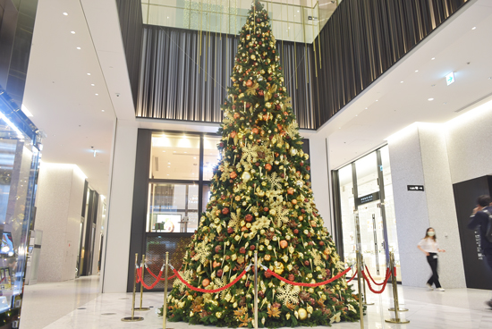 ビジネスタワーに初クリスマスツリー Toranomon Hills Christmas Ehills Club