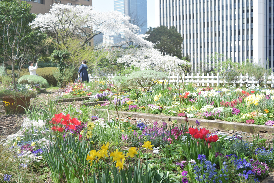 Amazon.co.jp: 洋書都市空間写真集 本 公園 ルーフガーデン 風景