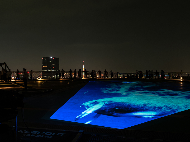 Summer Sky Deck 2023 `CXJCfbLŗ[݁`