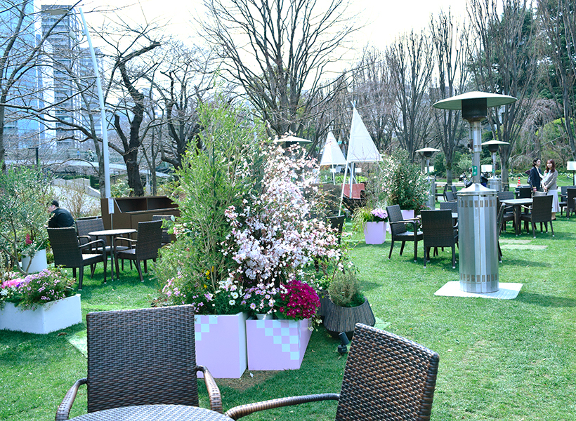 MIDTOWN BLOSSOM 2025