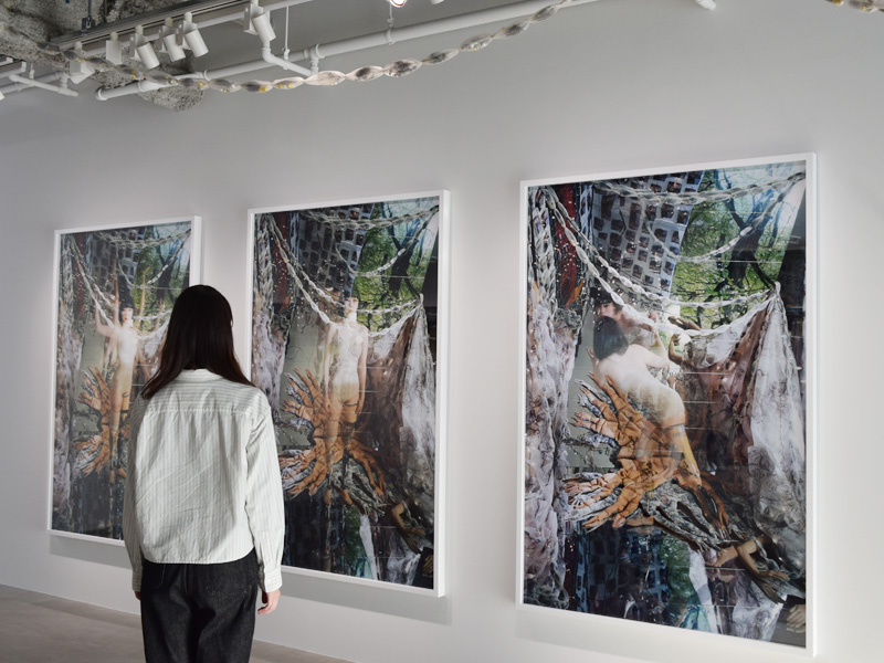 �ЎR�^���utree of life�v