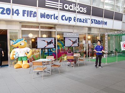 2014 FIFA World Cup Brazil ™ STADIUM