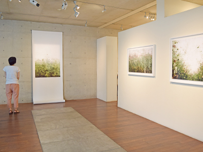 Kiiro写真展「Light」
