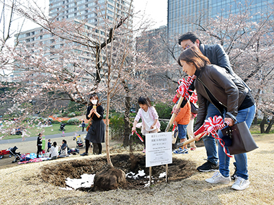 開業10周年記念 桜の植樹