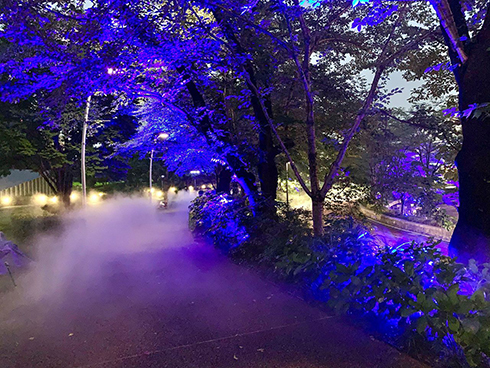 東京ミッドタウンでの夏散歩にひとときの涼「光と霧の散歩道」