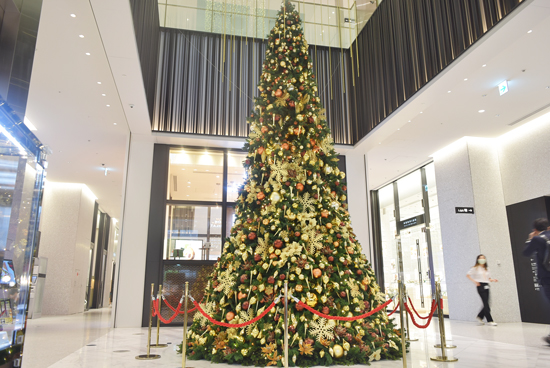 ビジネスタワーに初クリスマスツリー。TORANOMON HILLS CHRISTMAS 2020