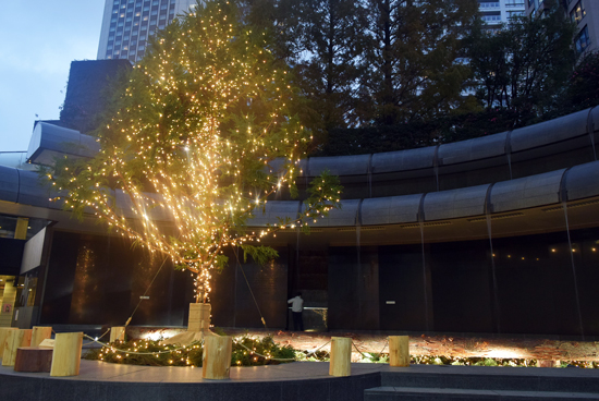 今年は朝8時からイルミネーション点灯 Ark Hills Christmas フォトニュース Ehills Club