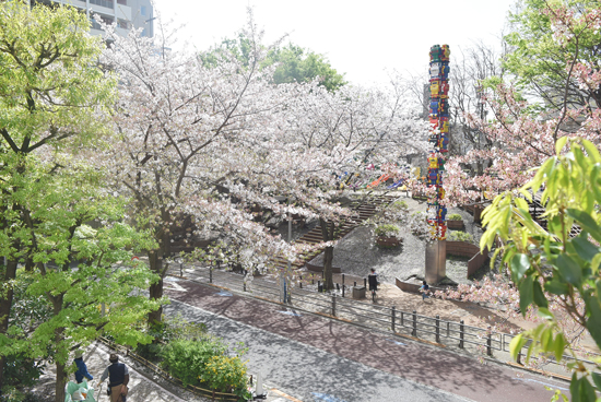 桜吹雪と新緑のコラボ。六本木ヒルズの春の風景