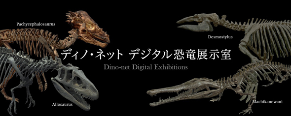 オンライン上で恐竜の骨格を360度鑑賞「ディノ・ネット デジタル恐竜展示室」無料公開中