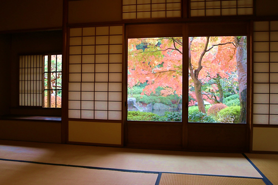 庭園美術館で、重要文化財の茶室「光華」が秋の特別公開