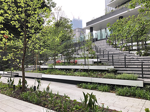 春を知らせるツツジの開花