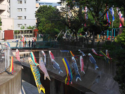 渋谷川を泳ぐ鯉のぼり