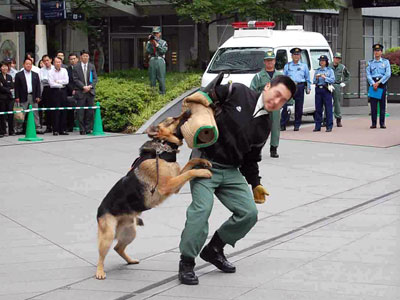ヒルズで警察犬によるテロ対策訓練