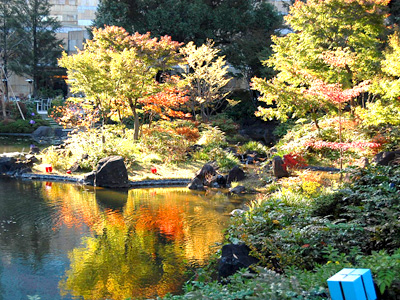 毛利庭園が紅葉のシーズン フォトニュース Ehills Club