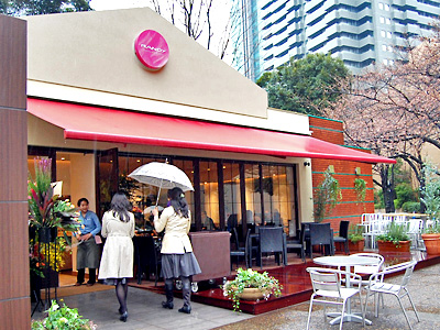 桜並木沿いのカフェレストラン「RANDY」OPEN！