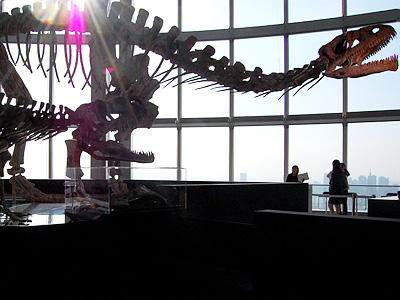 「地球最古の恐竜展」プレス内覧会