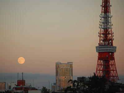 中秋の名月と東京タワー