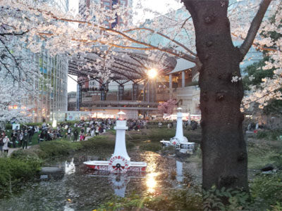 満開の桜と六本木アートナイト2013