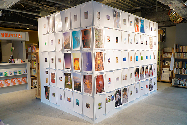 �����z��uDOLPHIN SAHARA�v�W�����i